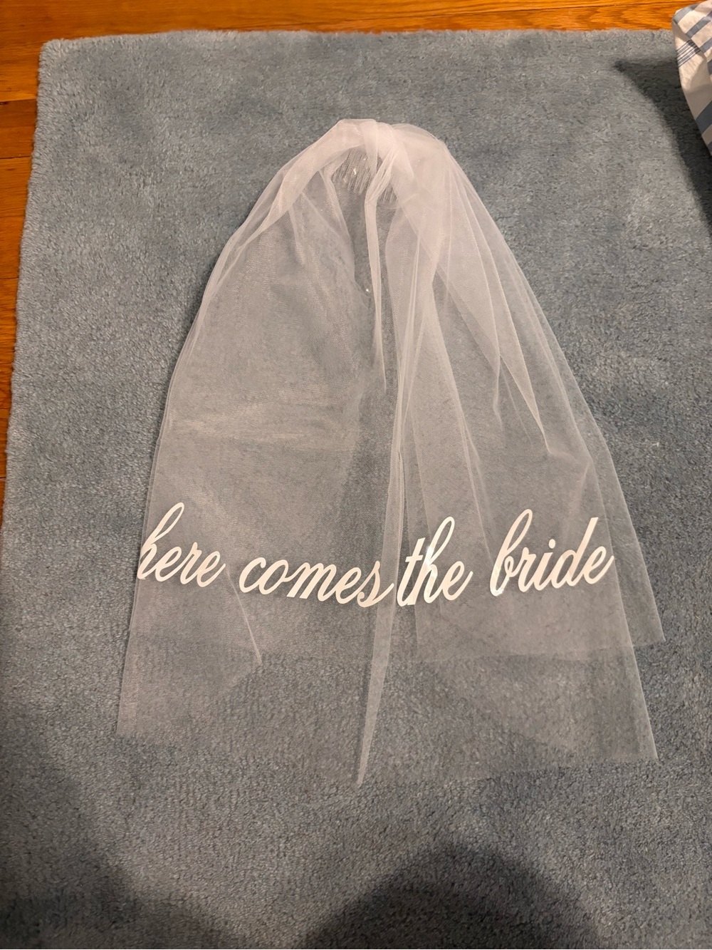 Veil with "here comes the bride" Script